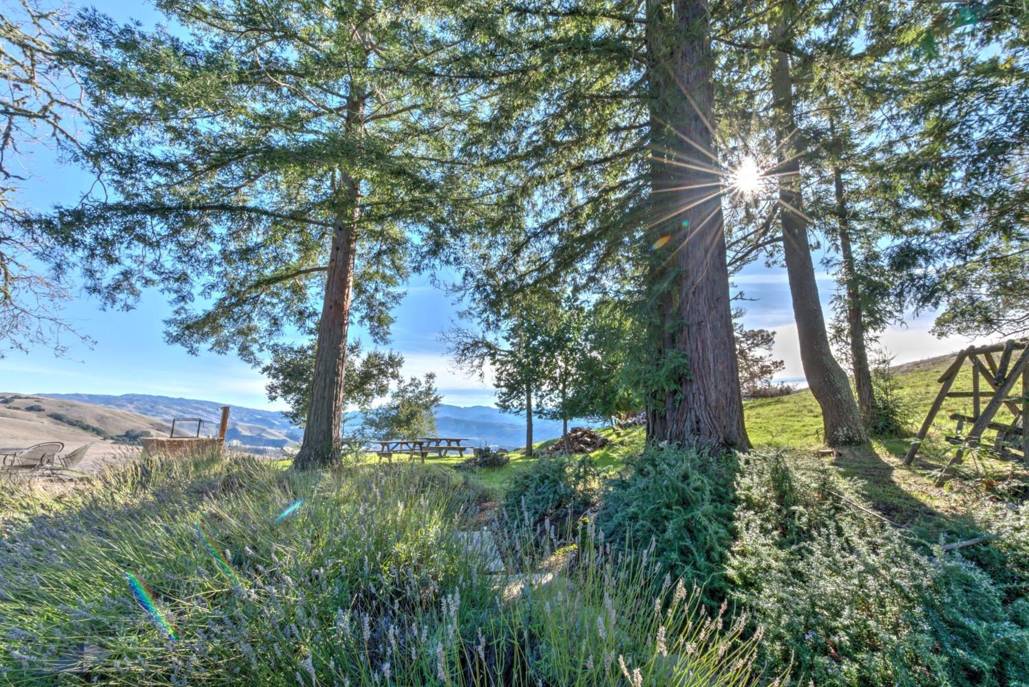 Lx37 Weathertop Ranch In Carmel Wine Country Кармел-Валлі Екстер'єр фото